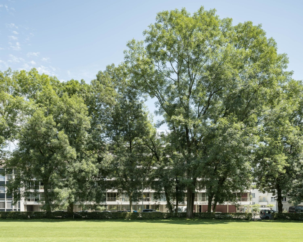 52964 Klopstockstrasse 8002 Zürich 15